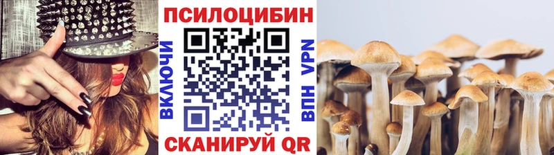 мориарти наркотические препараты закладки Вязьма Псилоцибиновые грибы Magic Shrooms
